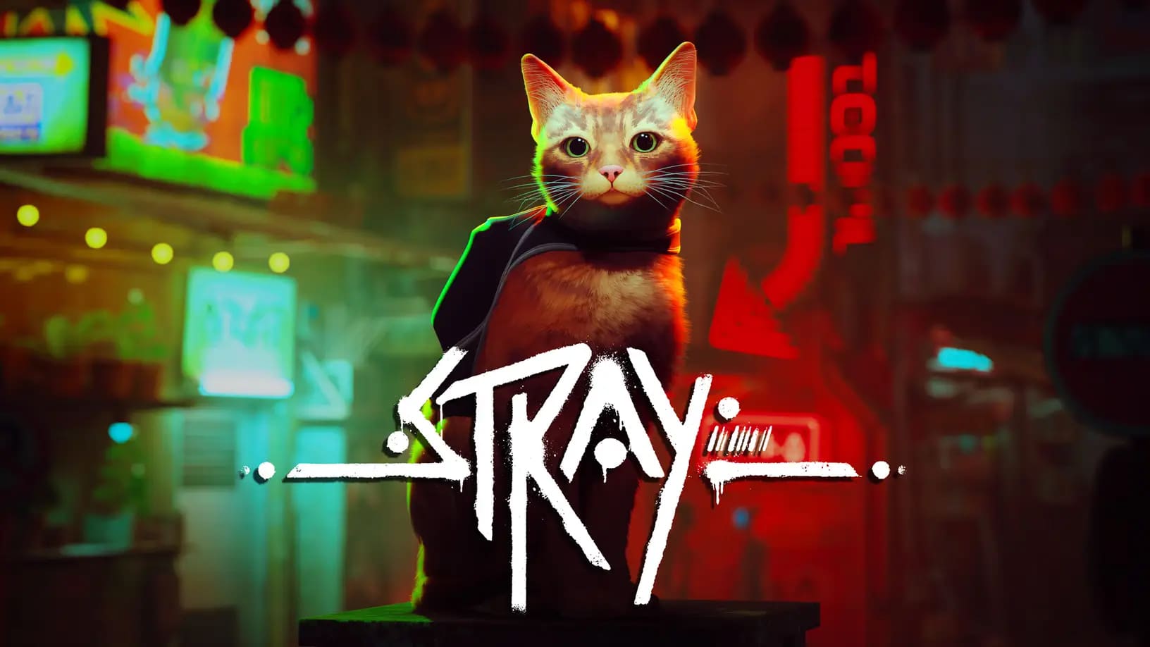 STRAY  Launch Trailer 