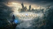  Does Hogwarts Legacy Have Multiplayer 