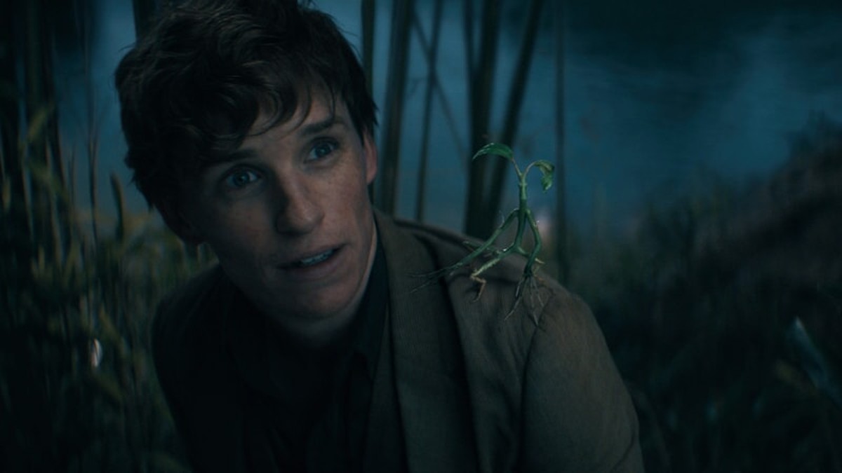 The Fantastic Beasts franchise is reportedly on pause, according to director David Yates.