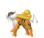 shiny raikou