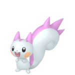 pachirisu shiny