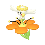 Flabebe Orange Flower