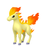 Ponyta