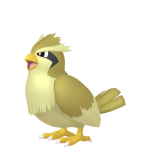 Shiny Pidgey