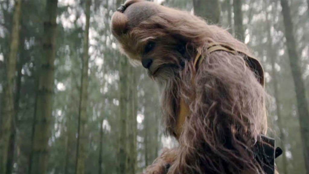 Wookiee Jedi Knight Kelnacca in Disney+ Star Wars series The Acolyte peers down in a forest