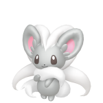 Cinccino