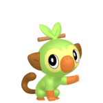 Grookey