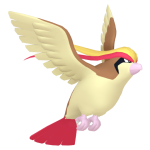 Pidgeot