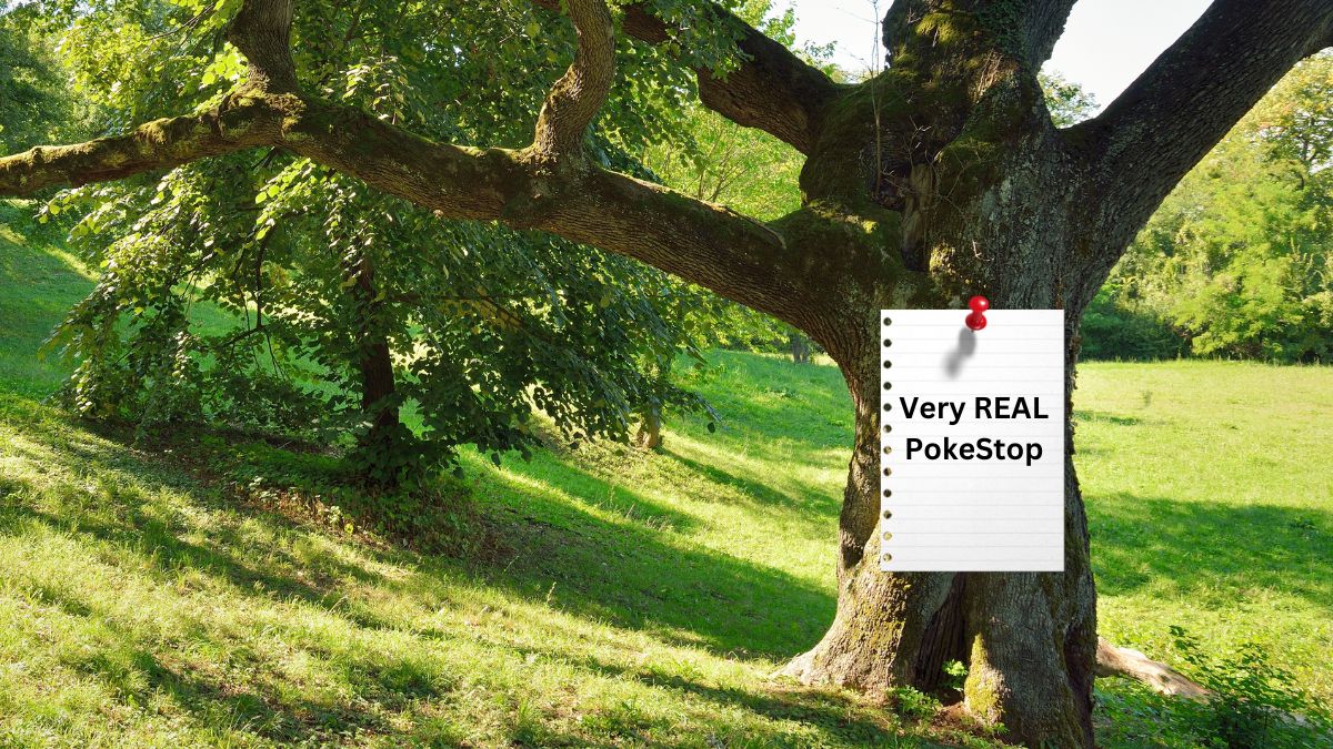 Image of a tree with a piece of paper tacked to it that says "very REAL PokeStop"