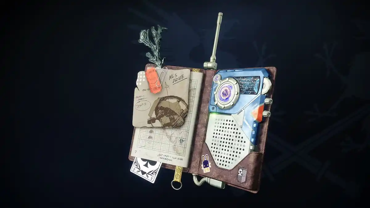 The Hunter's Artifact in Destiny 2