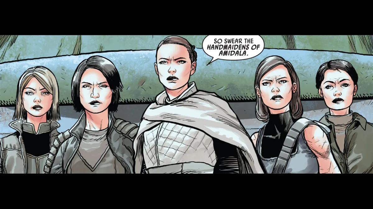 A comic panel, with five of Star Wars' Queen Amidala's handmaidens, looking stern. 