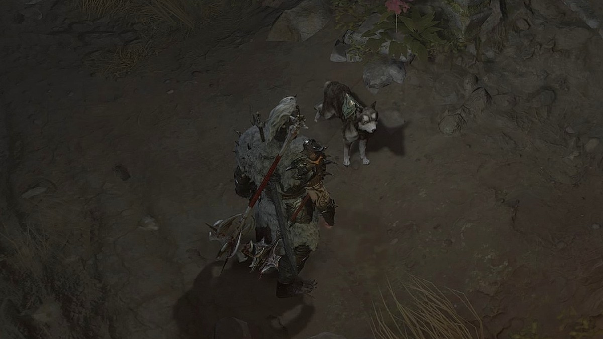 Pet Dog in Diablo 4.