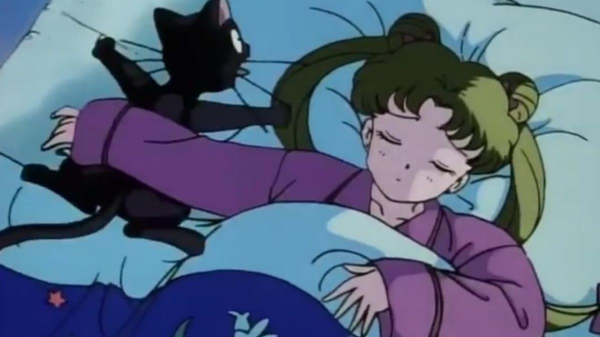 Sailor Moon screenshot, showing Usagi and Luna sleeping, with Usagi's arm over Luna