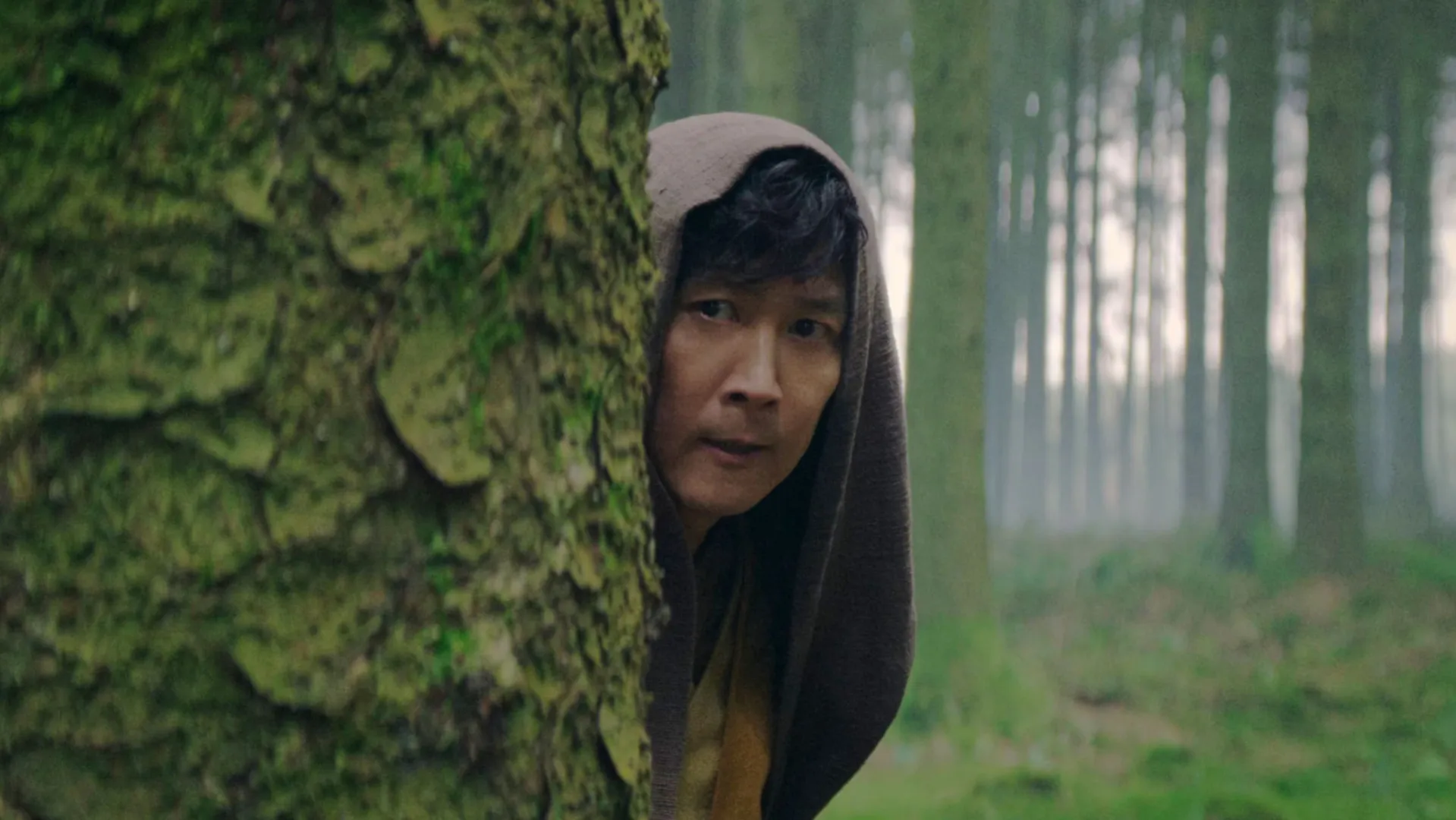 master sol hiding behind a tree in episode 3 of the acolyte