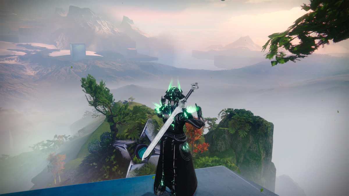 Image of the Guardian with Ergo Sum on their back in Destiny 2