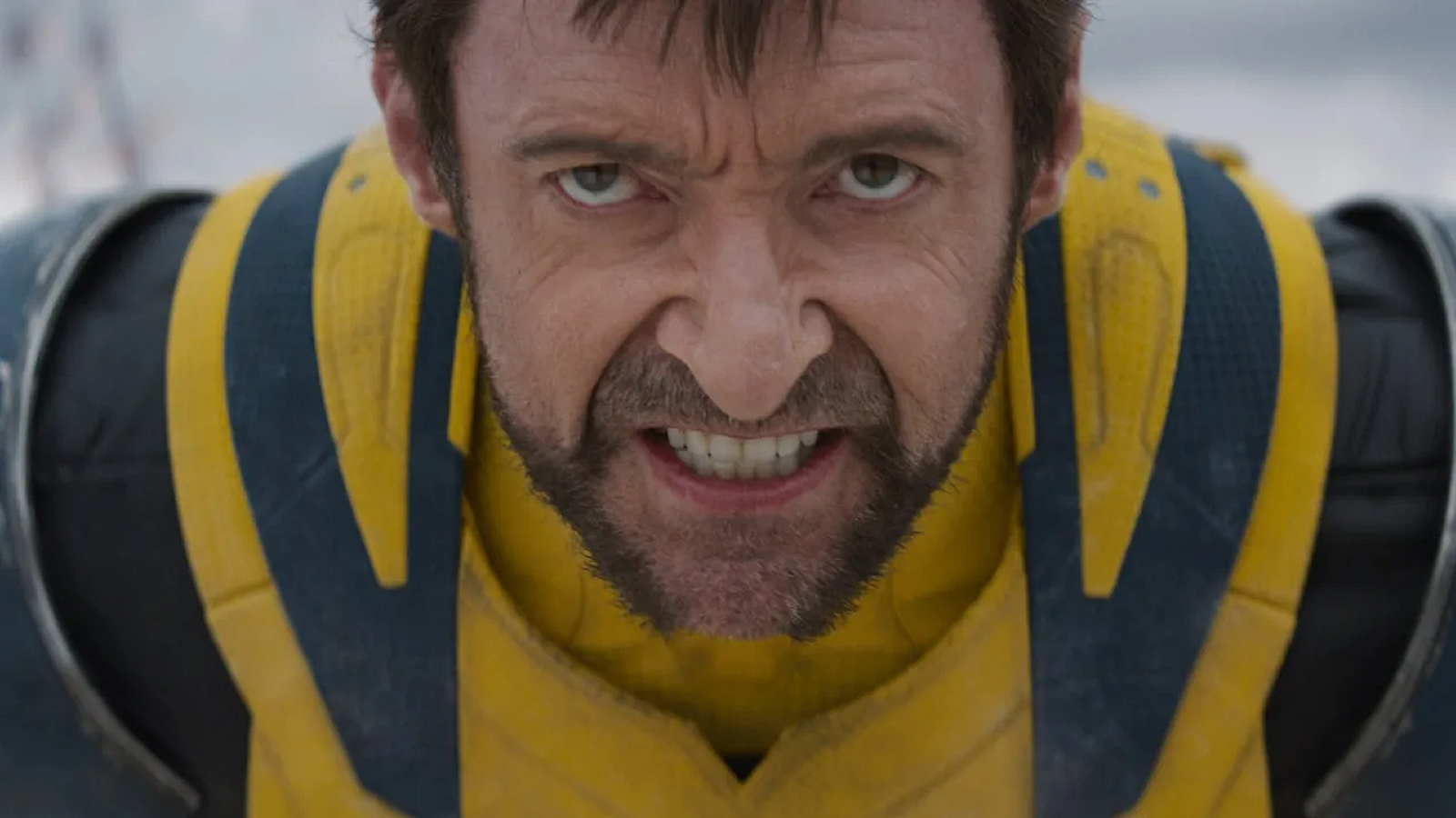 A close-up of Wolverine snarling in Deadpool & Wolverine