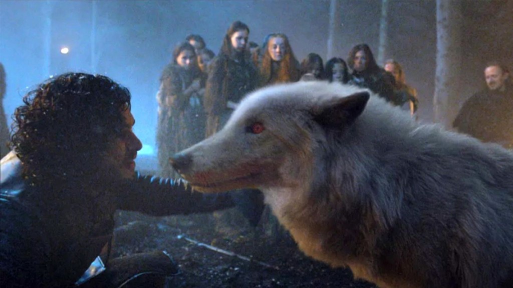 Jon Snow and his direwolf in Game of Thrones