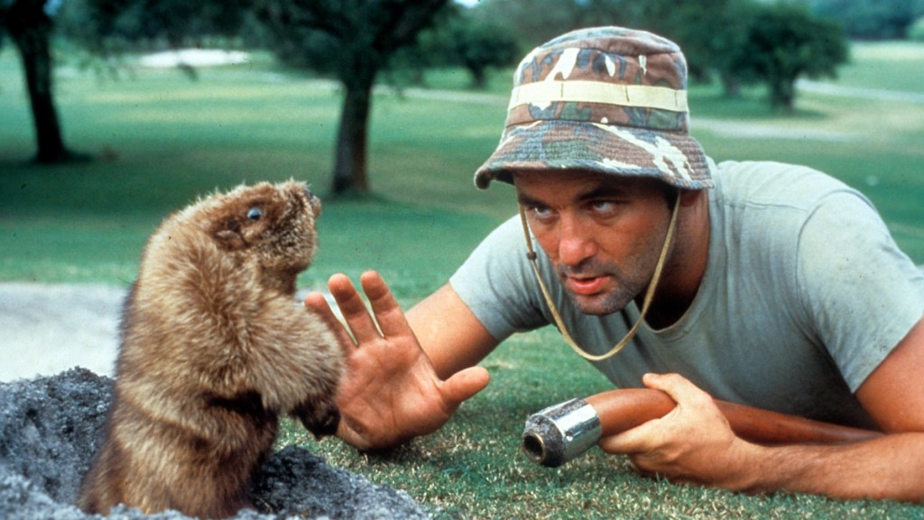 Bill Murray with a gopher as part of an article about the best sports movies of all time.