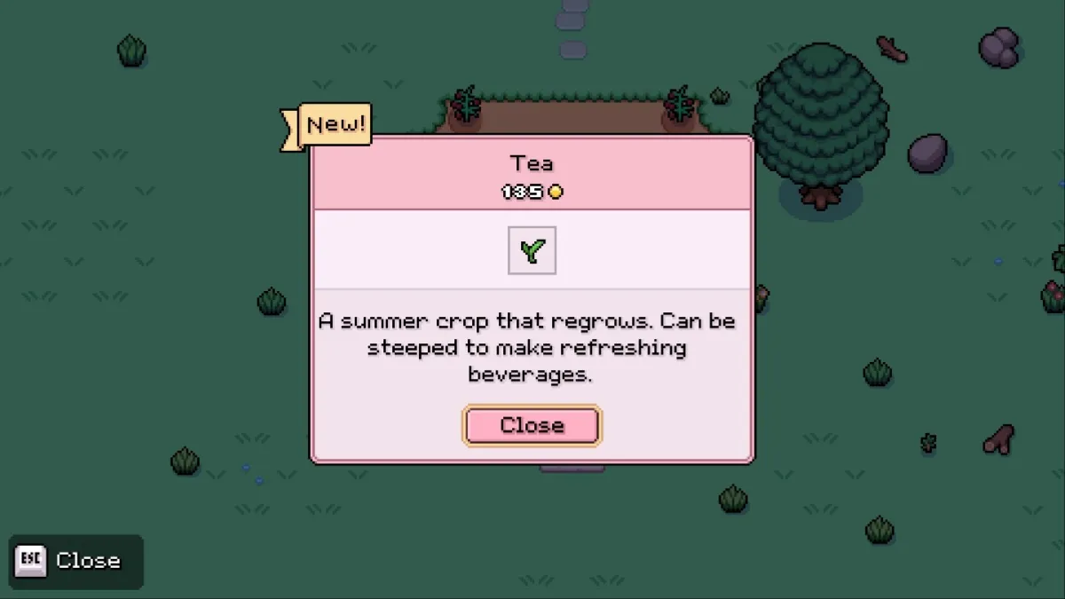 Fields of Mistria screenshot of Tea item description after finding it for the first time.