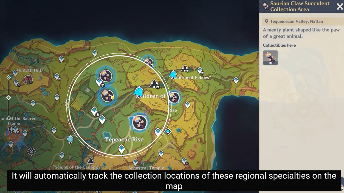 Image of the Genshin Impact map with several resources circled