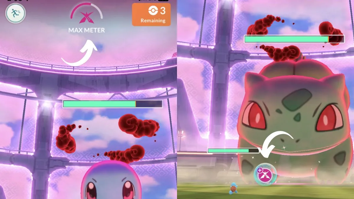 Max Meter and Dynamax Power Spot Tapping 