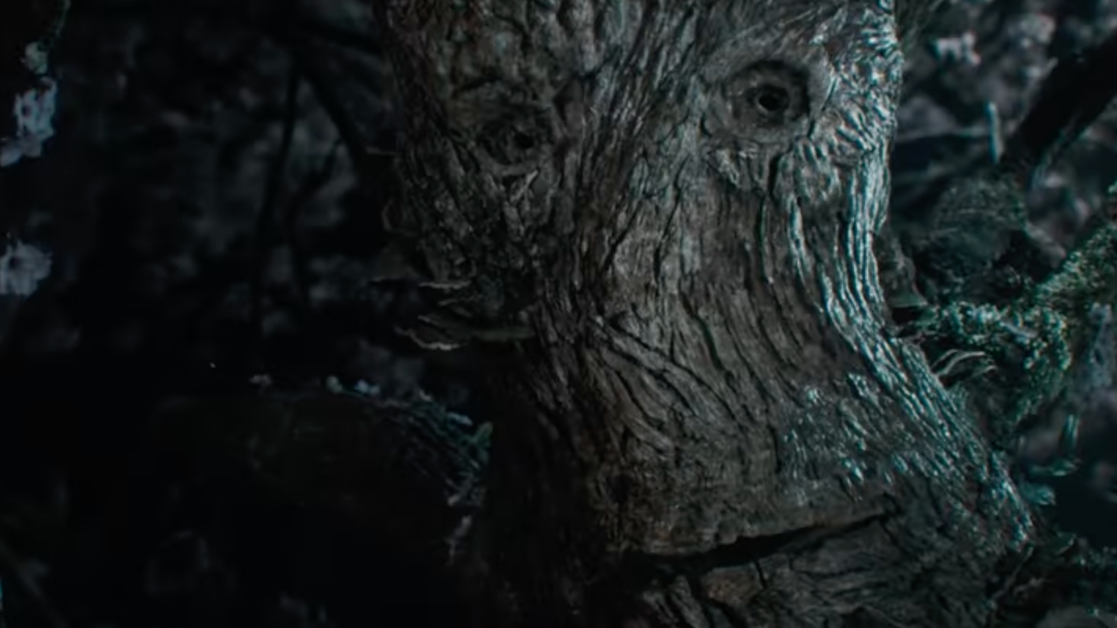 An Ent in The Lord of the Rings: The Rings of Power Season 2