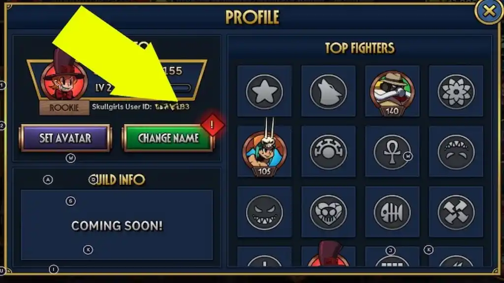 In-game screenshot of the profile in Skullgirls.