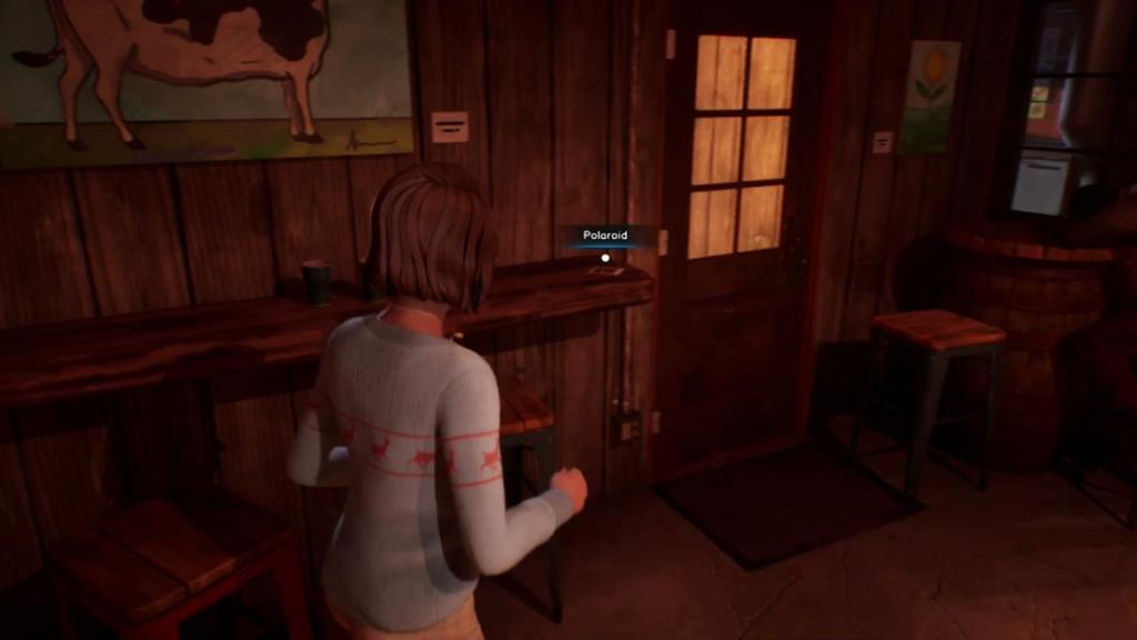 The location of a Polaroid in Life is Strange: Double Exposure.