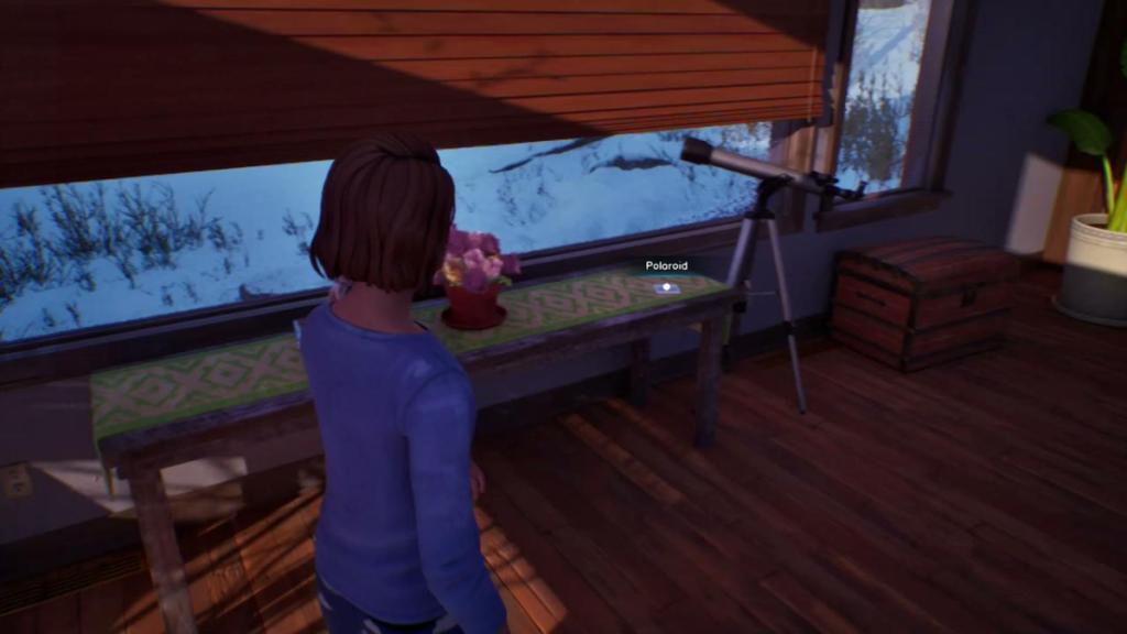 The location of a Polaroid in Life is Strange: Double Exposure.