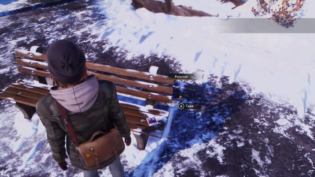 The location of a Polaroid in Life is Strange: Double Exposure.