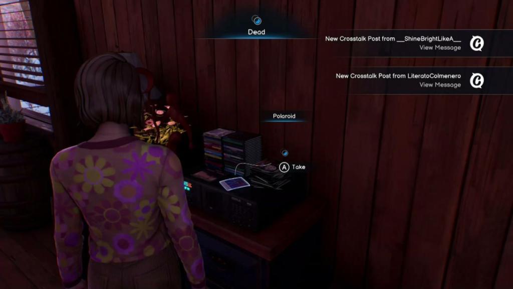 The location of a Polaroid in Life is Strange: Double Exposure.