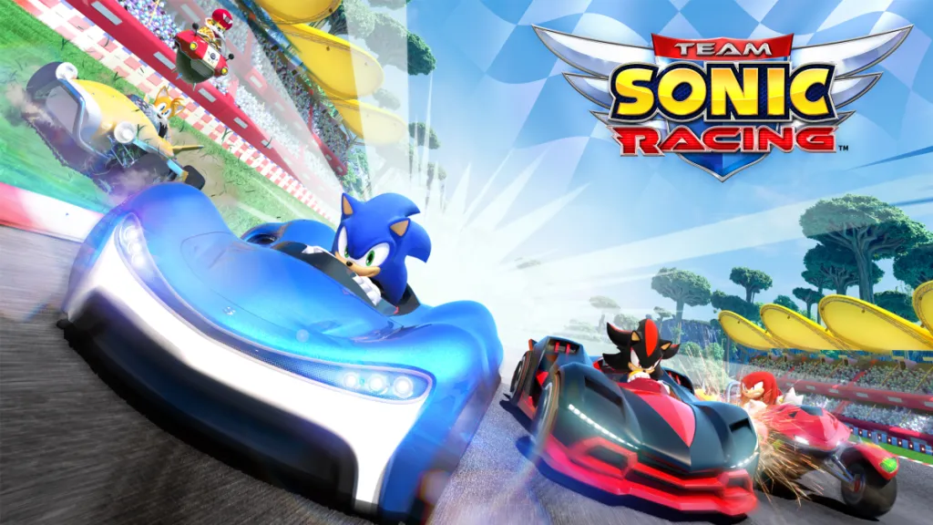 Sonic the Hedgehog races past Shadow in a car