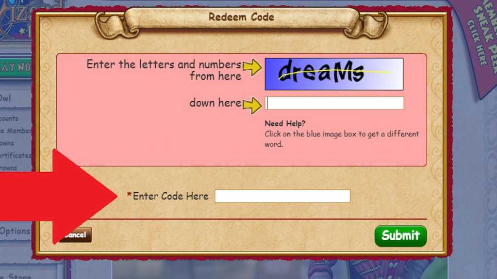 How to redeem Wizard101 codes step 2