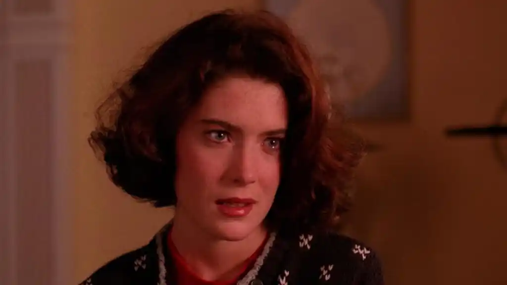 Lara Fynn Boyle in Twin Peaks in an article about 90s Stars you never see anymore