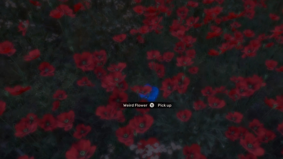 Weird Flower in Stalker 2