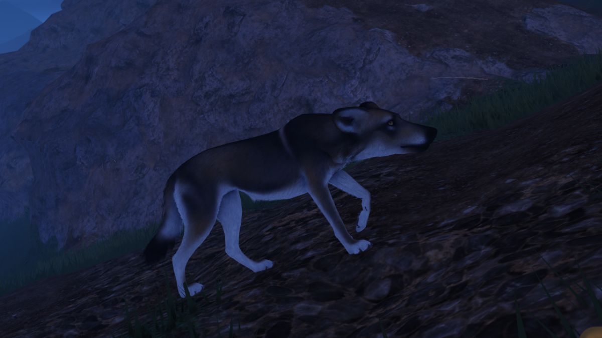 Dire Wolf tracking in Ecos La Brea