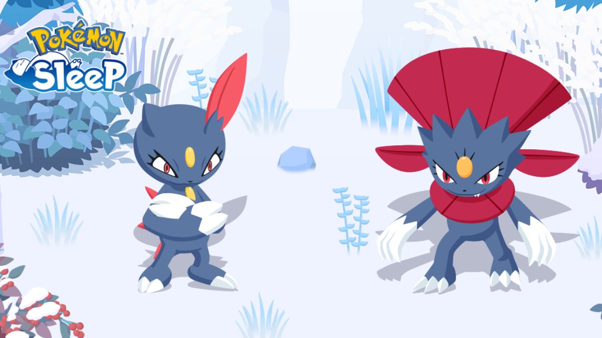 Sneasel and Weavile in Pokemon Sleep