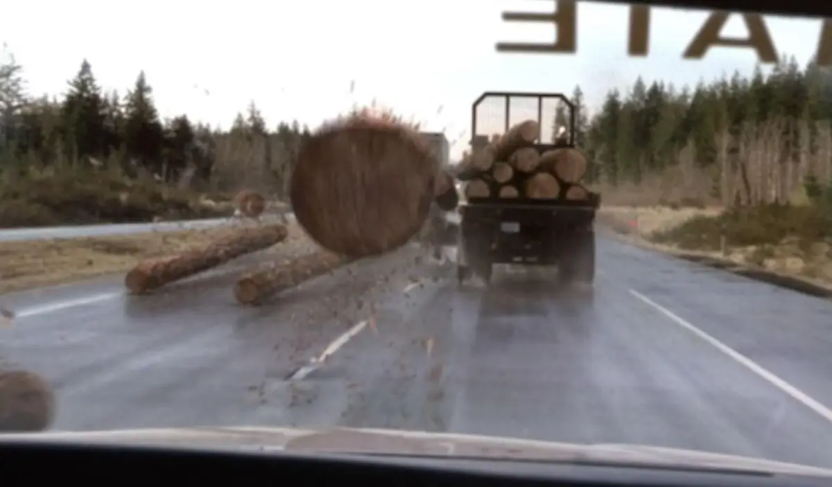 Final Destination logs 